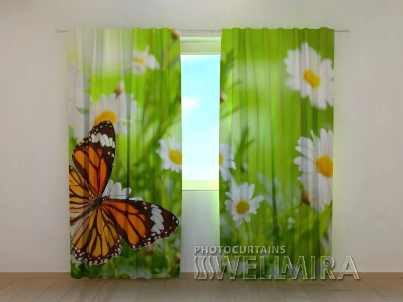 3D Curtain Butterfly and Camomiles