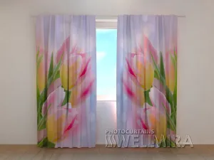 3D Curtain First Tulips