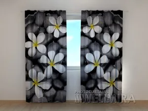 3D Curtain Stones