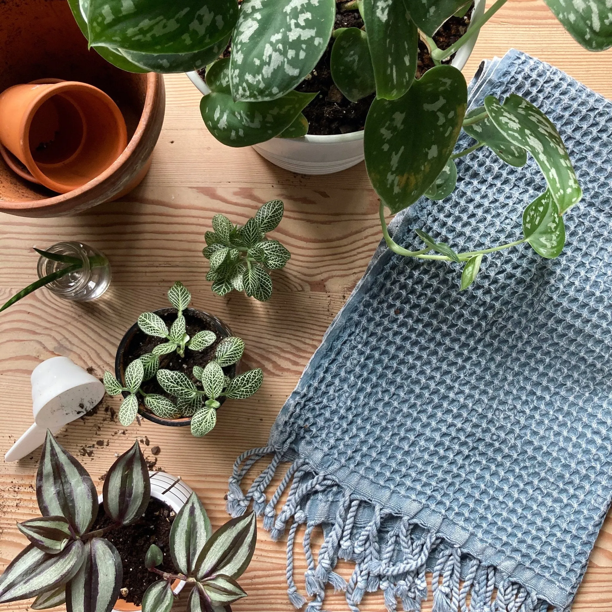 Meraki Hand Towel