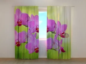 Photo Curtain Orchid Romantic