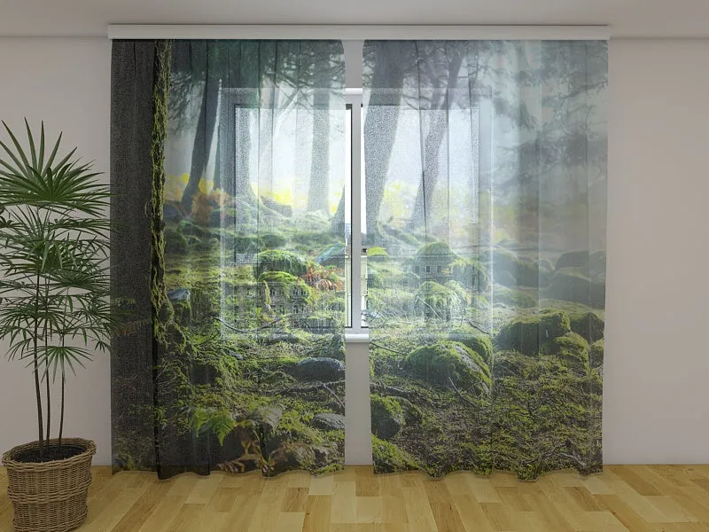 Photo Curtain Rainforest at Sunrise