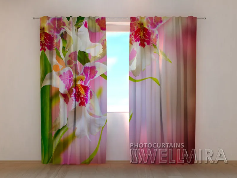 Photocurtain Mottle Orchids